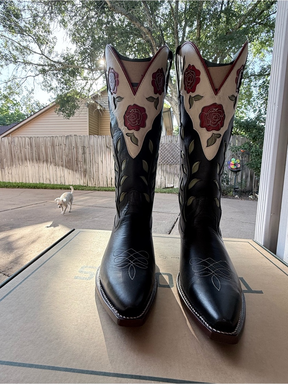 Tecovas Black Leather Women's Cowboy Boots with Red Rose Embroidery scarf. - Picture 16 of 16